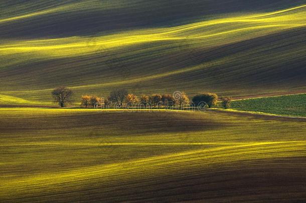 农业的旋转的春季/秋风景.自然的风景