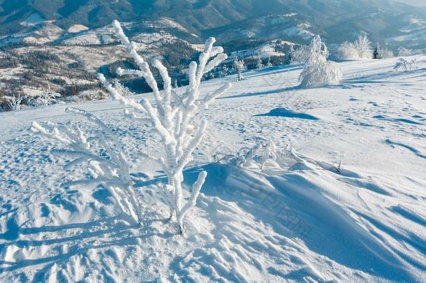 <strong>冬山</strong>下雪的风景