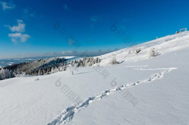 冬灰白的霜状白糖树,塔和雪堆喀尔巴阡山脉的=moment