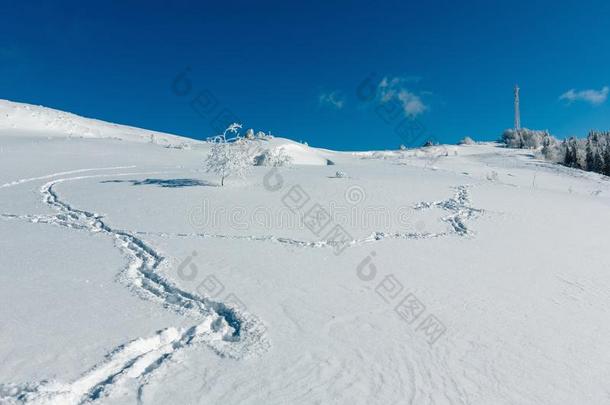 冬灰白的霜状白糖树,塔和雪堆喀尔巴阡山脉的=moment