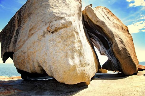 雄鹿关于石头采用<strong>异常</strong>的岩石,袋鼠岛,澳大利亚