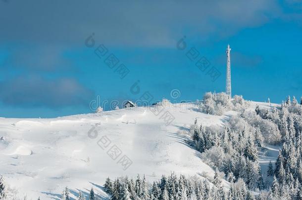 冬灰白的霜状白糖树,塔和雪堆喀尔巴阡山脉的=moment