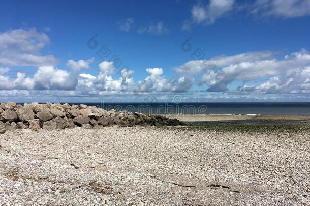 卵石海滩和海辩护和海上的风电场采用北方walnut胡桃