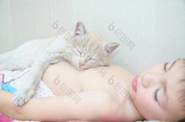 男孩睡和猫,特别喜欢的人宠物说谎向小孩胸部,Interacti
