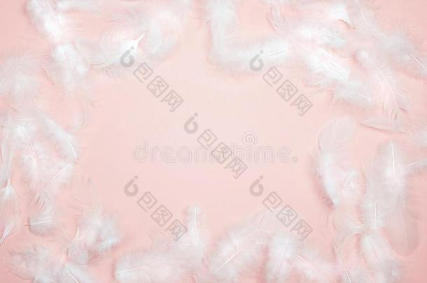 框架关于白色的羽毛向粉红色的背景和空白的空间为