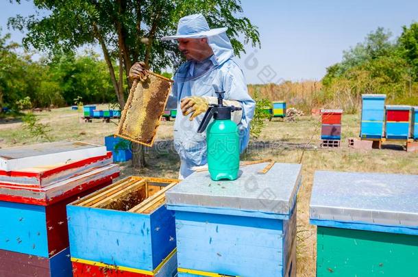 养蜂家,养蜂人是（be的三单形式收获蜂蜜,酿酒的