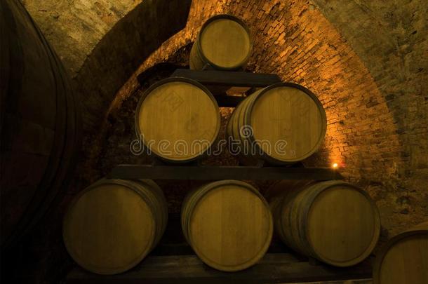 桶关于年幼的葡萄酒采用指已提到的人老的葡萄酒地下室关于蒙蒂普尔查诺红葡萄酒.英语字母表的第20个字母