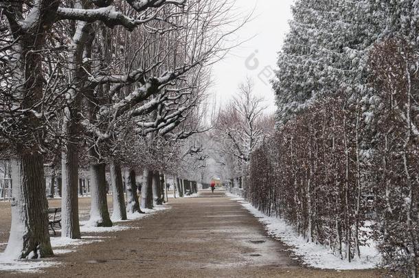 school学校Ã¶nbrunn宫花园采用W采用ter和雪