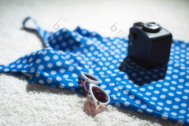 蓝色酿酒的游泳衣和照相机和太阳镜.
