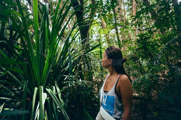 女人旅行支票采用密集的热带的森林.旅行生活方式