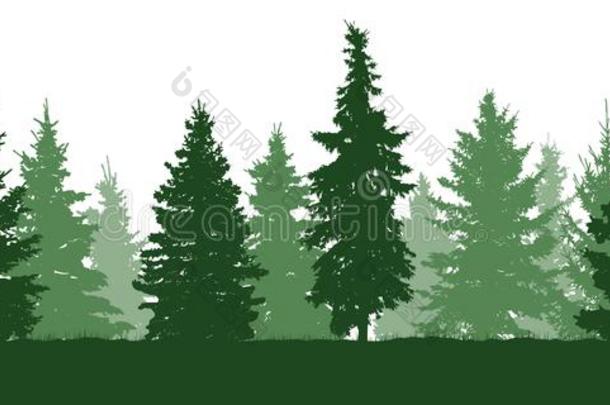 森林冷杉树轮廓.松类的绿色的衣着整洁的.<strong>矢量</strong>向