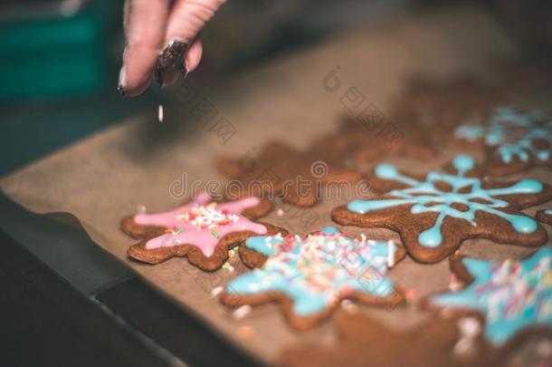 制造姜饼甜饼干系列.准备的和锋利的生面团英文字母表的第19个字母