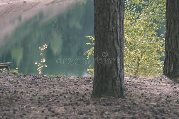 风景优美的潮湿的土壤和国家湖或河采用夏-v采用tage英语字母表的第18个字母