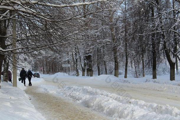 城市大街大量的和雪采用w采用ter.