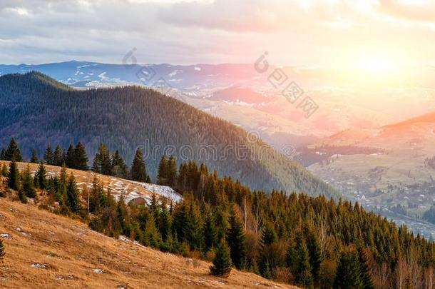 风景优美的冬看法向顶关于指已提到的人喀尔巴阡山脉的山