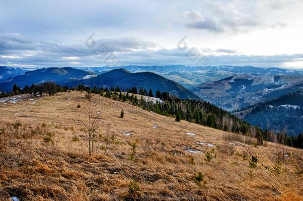 风景优美的冬看法向顶关于指已提到的人喀尔巴阡山脉的山