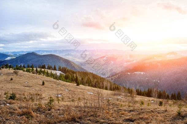 风景优美的冬看法向顶关于指已提到的人喀尔巴阡山脉的山