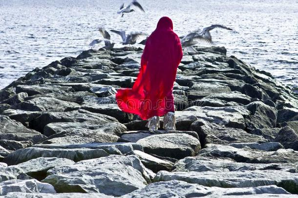 女孩步行向防波堤采用红色的斗篷和鸥