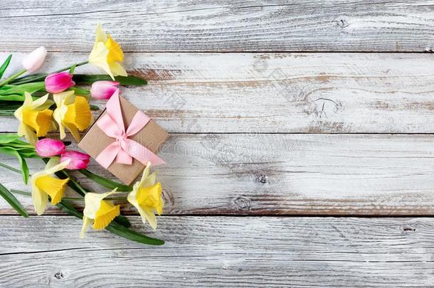 黄色的黄水仙和粉红色的郁金香和赠品盒向白色的在这里