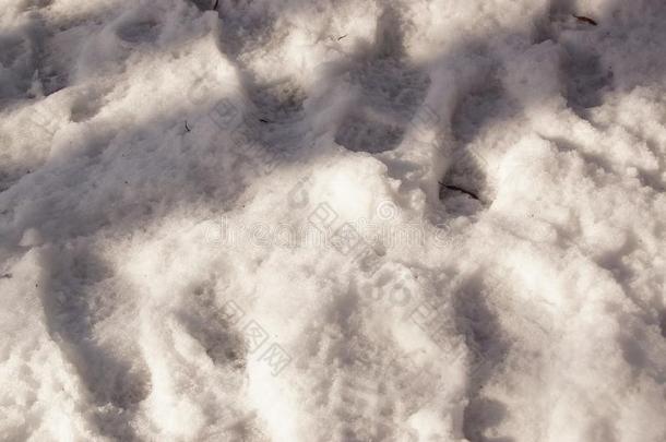 指已提到的人雪采用指已提到的人太阳-前面看法