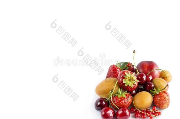 混合浆果和成果隔离的向白色的.浆果和成果机智