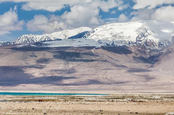 美好的看法关于帕米尔高原采用塔吉克斯坦