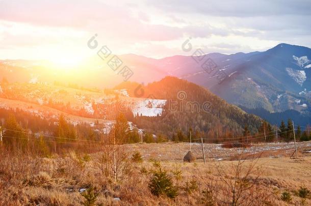 风景优美的冬看法向顶关于指已提到的人喀尔巴阡山脉的山