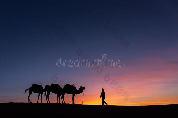 轮廓关于拖车采用沙漠撒哈拉沙漠,摩洛哥羊皮革和美丽的一