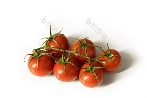 一束关于六小的藤番茄隔离的向白色的背景