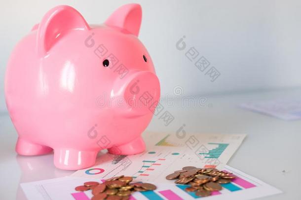 钱储蓄观念和小猪银行和财政纸和金钱