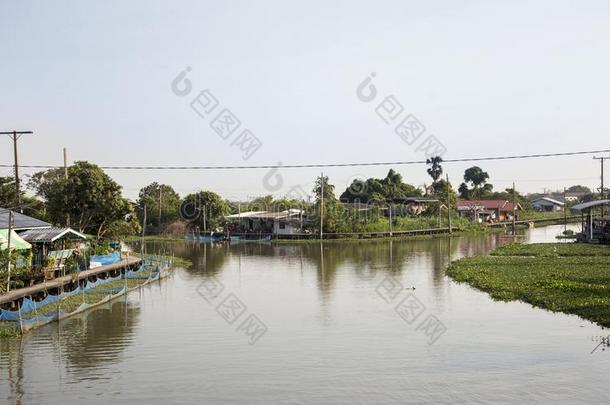 家和住处生活方式关于河边西方的关于泰国