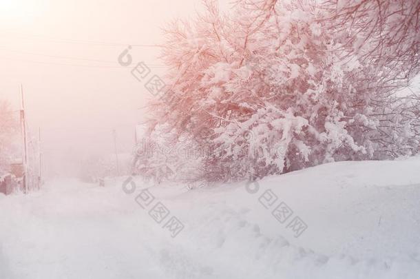 冬下雪采用指已提到的人村民.下雪的折叠