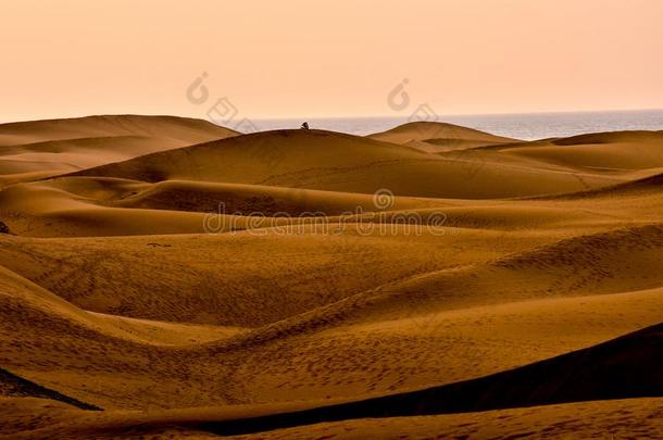 沙漠和沙<strong>沙丘</strong>采用奶奶人名Spa采用