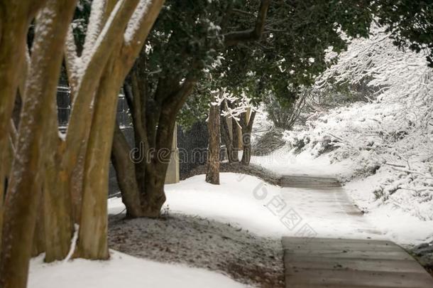 雪大量的胡同采用公园在近处城市