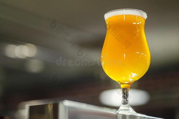 郁金香玻璃关于光<strong>啤酒</strong>采用一酿酒厂