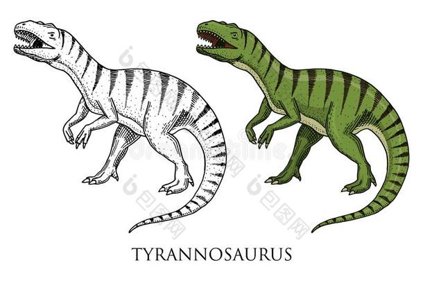 恐龙暴龙雷克斯猫,塔布龙,似鸵龙骨架