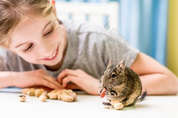 年幼的女孩观察指已提到的人八齿鼠松鼠