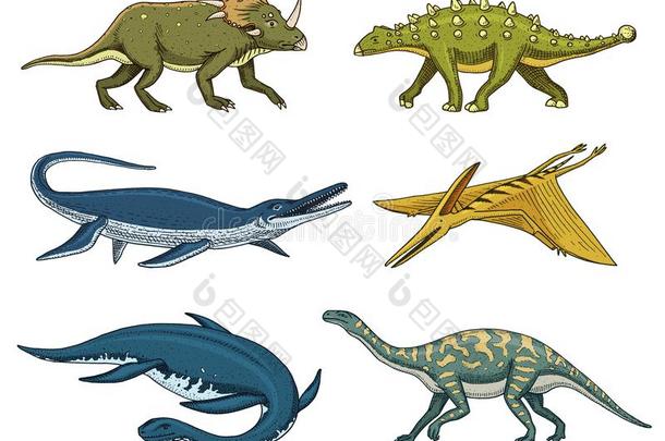 恐龙板龙,摩梭龙,重龙,梁龙,p-telomerep-端粒