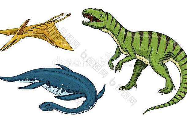 恐龙暴龙雷克斯猫,板龙,翼龙目动物,骨架,