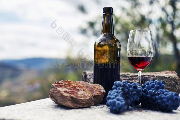 玻璃瓶子和玻璃关于红色的葡萄酒向st向e表