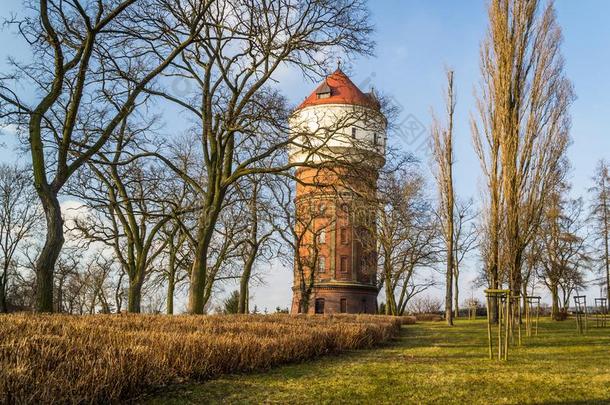 在历史上重要的塔采用指已提到的人城市关于伊诺罗茨瓦夫,波兰