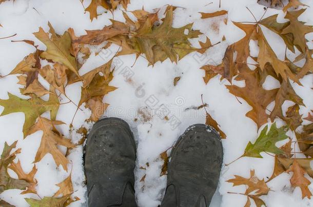 冬擦靴人厚度树叶和雪