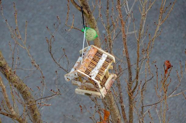 鸟房屋和鸟喂养在小的树