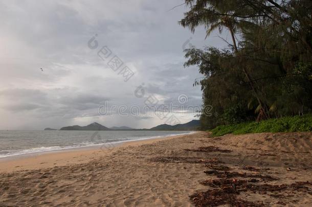 手掌小海湾海滩在日出和手掌树