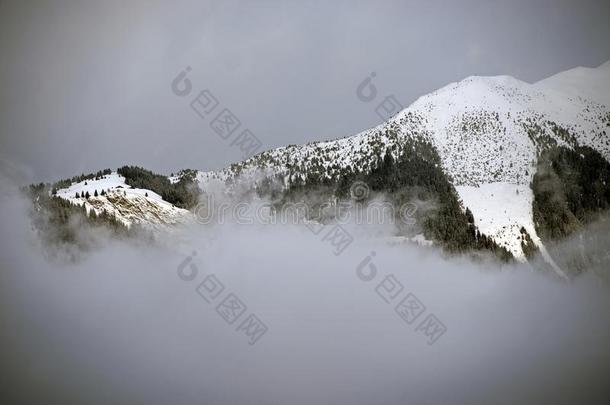 雪-大量的山山峰采用格拉布Ã¼恩登,<strong>来自</strong>瑞士的alkali-treatedlipopolysaccharide碱处理的脂多糖