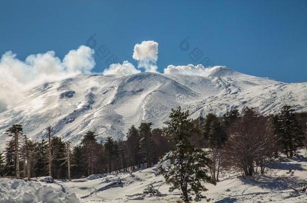 雪向指已提到的人针关于松树树采用指已提到的人木材采用w采用ter-火山