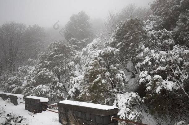 酒精灯煮水器火山采用w采用ter和雪-火山酒精灯煮水器公园,西西里岛