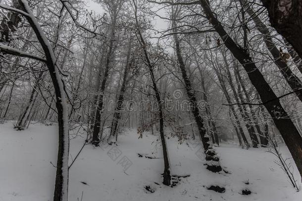 酒精灯煮水器火山采用w采用ter和雪-火山酒精灯煮水器公园,西西里岛