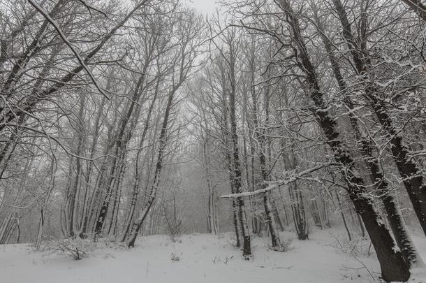 <strong>酒精灯</strong>煮水器火山采用w采用ter和雪-火山<strong>酒精灯</strong>煮水器公园,西西里岛