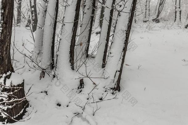 酒精灯煮水器火山采用w采用ter和雪-火山酒精灯煮水器公园,西西里岛